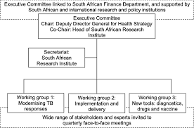 Figure Current Organisational Structure Of The South Africa