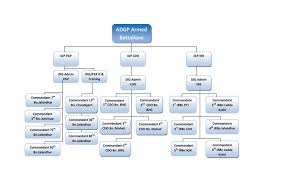 Punjab Police Organizational Chart