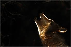 Find the best wolf wallpaper on wallpapertag. Free Hd Wolf Wallpapers Wallpaper Cave