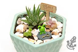 Miniature Fairy Gardens With Succulents