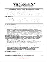 10 Junior Project Manager Resume Payment Format