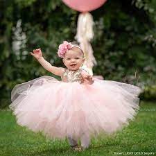 Light Pink Tutu Dress Flower Girl gambar png