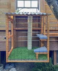 building outdoor catio cat enclosures