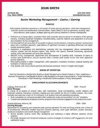 Resume Writing Services Kelowna   Best Resumes Curiculum Vitae And     Pinterest