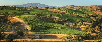 Wine tastings are fun, but a taste of the outdoors can make them even better. Santa Barbara Wine Country Nielson Wines