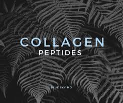 collagen peptides help me lose weight