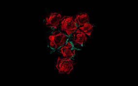 red roses wallpaper 4k flower bouquet