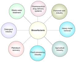 Green Surfactants Biosurfactants A