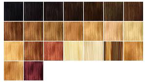 Strawberry blonde hair color is one of the most popular hues women choose since it looks quite natural. Strawberry Blonde Hair Color Chart Blonde Hair Color Chart Blonde Hair Color Blonde Color Chart