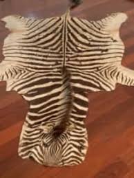 zebra skin gumtree australia free