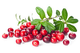 Image result for cranberries, crushed