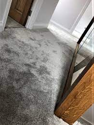 lets focus on soft carpets from cormar