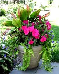 Container Gardening With Terraponics