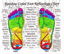 Mihos Favorites Foot Reflexology Chart