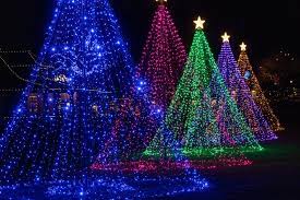 things to do in victoria b c at christmas