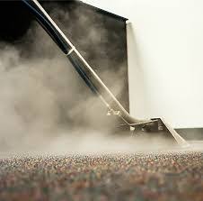 about d max carpet cleaning