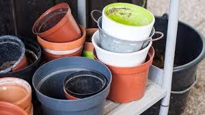 clean your flower pots before reusing