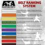 ata taekwondo belts from googleweblight.com