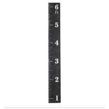 Coop Wood Ruler Growth Chart