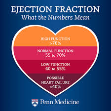 Ejection Fraction What The Numbers Mean Penn Medicine
