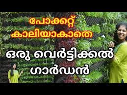 Vertical Garden Gardening Malayalam