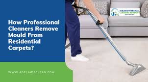 how professional cleaners remove mould