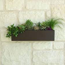succulent wall planter