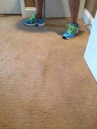 removing carpet wrinkles eco interior