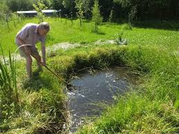 Wildlife Garden Ponds Design