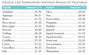 Protecting Your Garden From Frost How To Prevent Frost