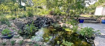 Webb S Water Gardens