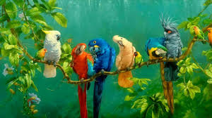 bird macaw parrot 1080p painting