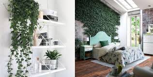 Contenido 2 decoración con plantas colgantes 8 cuadro con plantas suculentas Plantas De Interior En Decoracion Tipos Y Consejos Para Casa
