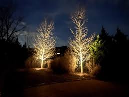 Outdoor Tree Lighting Ideas Lights