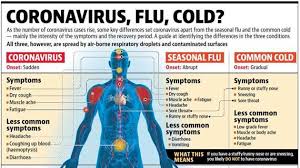 seasonal flu and common cold