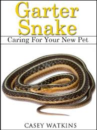 Set up the enclosure first using a plastic tub or aquarium and add in a substrate, cage furniture, and a heating pad. Garter Snake Caring For Your New Pet Reptile Care Guides Watkins Casey Amazon Com