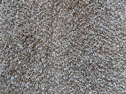 stain master plush neutral carpet used