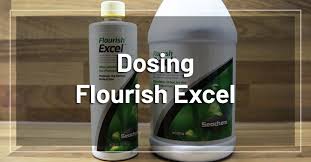 Flourish Excel Dosing Right Way To Dose Liquid Carbon To
