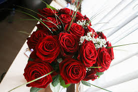 s love roses free photos uihere
