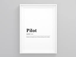 Pilot Funny Definition Wall Art