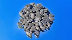 5 benefits of sunflower seeds and how
