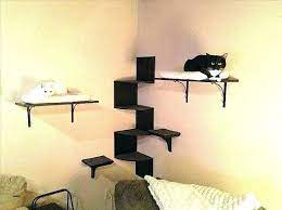 diy cat shelves cat wall shelves diy