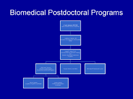 Appendix Ii Biomedical Postdoctoral Programs