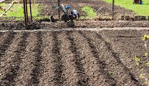 rototillers can turn your soil around