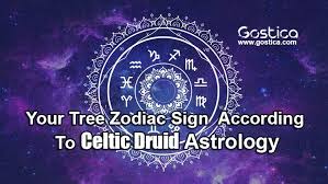 Your Tree Zodiac Sign According To Celtic Druid Astrology