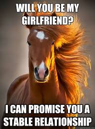 Ridiculously Photogenic Horse memes | quickmeme via Relatably.com