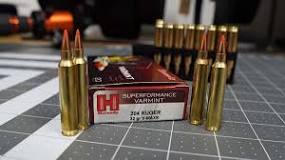 Image result for 204 ruger ammo midwayusa