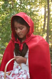little red riding hood and wolf costume