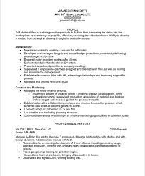 Make Up Artist Resume Sample  Beauty  resumecompanion com  Resume Help org