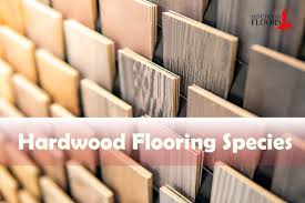 hardwood flooring species a practical